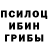 Галлюциногенные грибы мицелий Irma Lafond