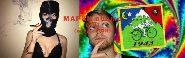 прущие грибы Алзамай