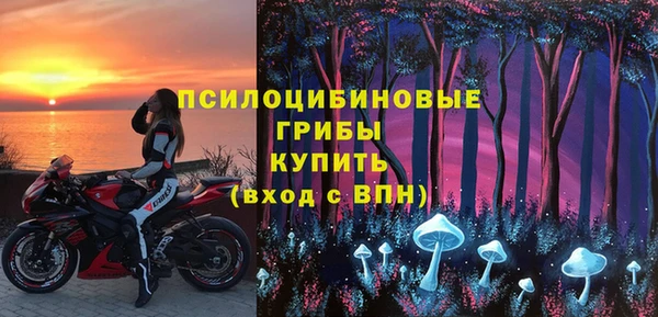 метадон Арсеньев