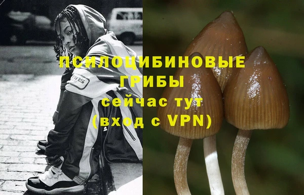 метадон Арсеньев